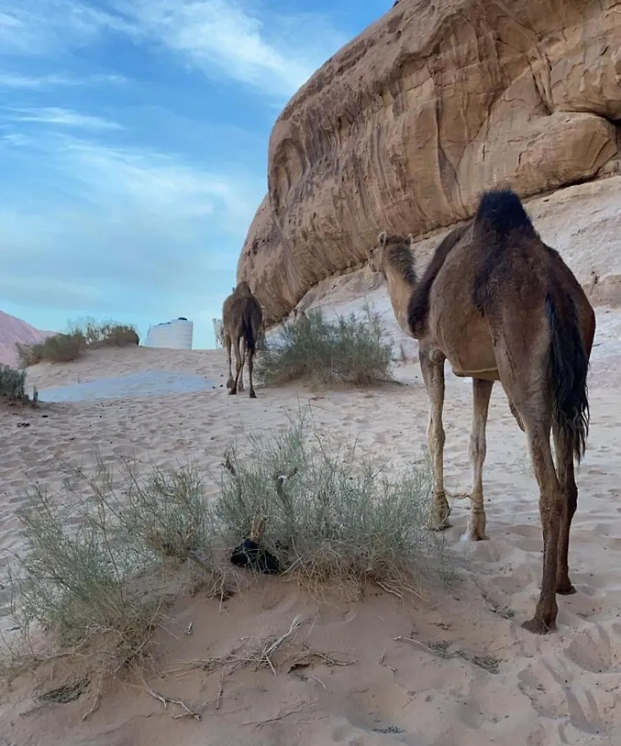 Wadi Rum Stupendo Camp Άκαμπα